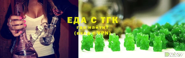 дживик Абаза