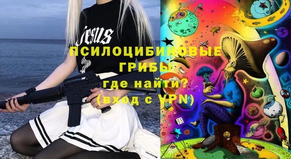 дживик Абаза