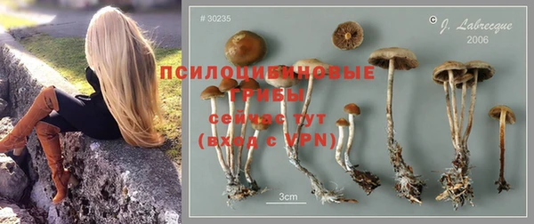 дживик Абаза