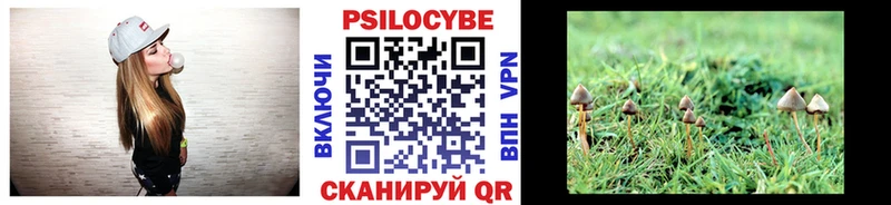 Галлюциногенные грибы Cubensis  Новоалтайск 